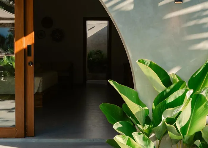 Casa Nova 3*